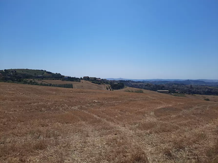 Immagine 1 di Terreno agricolo in vendita  a Offida