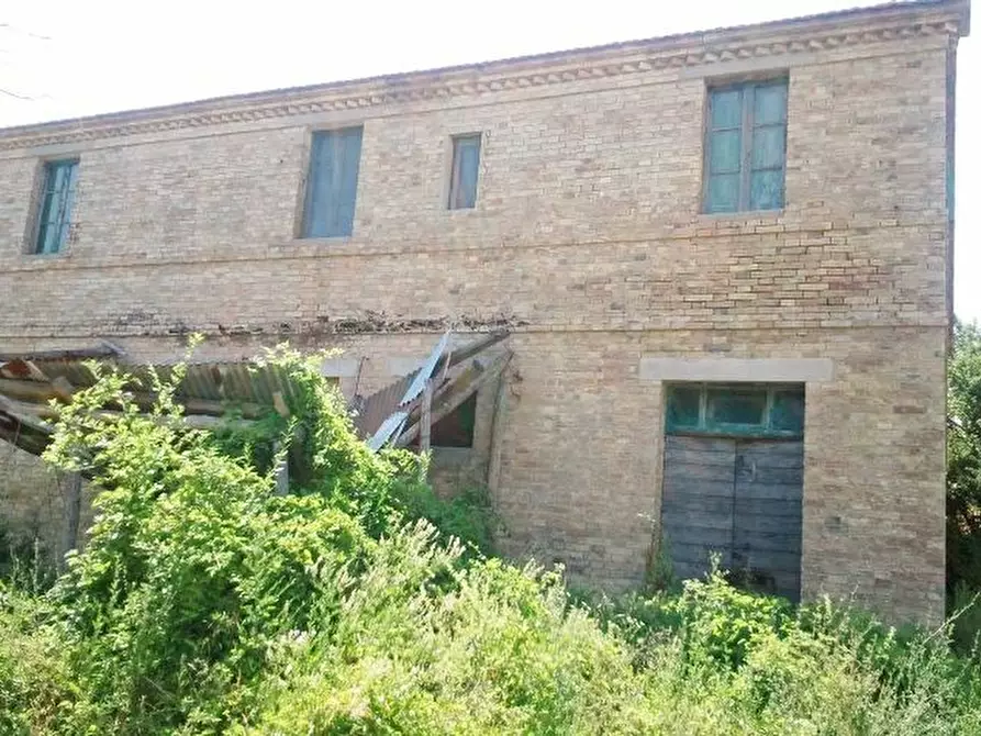 Immagine 4 di Rustico / casale in vendita  a Offida