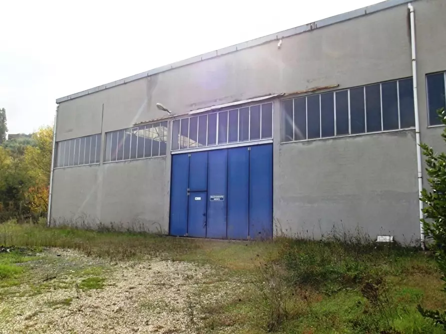 Immagine 22 di Capannone industriale in vendita  a Acquaviva Picena