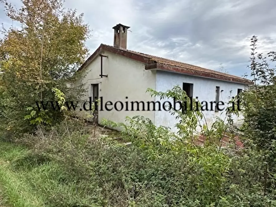 Immagine 6 di Rustico / casale in vendita  a Ripatransone