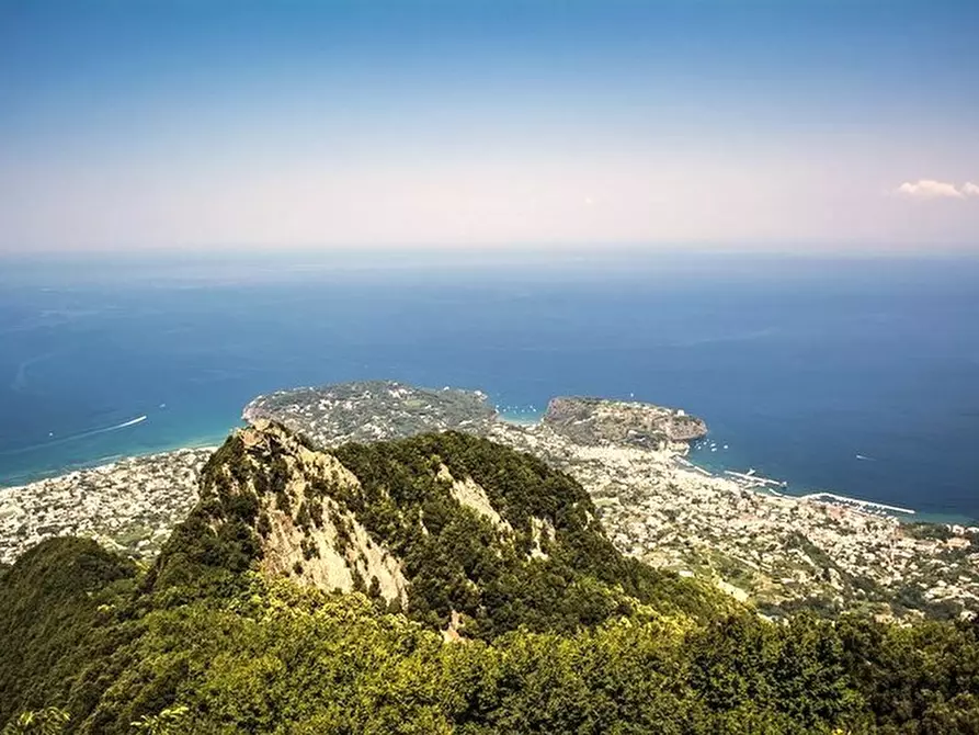 Immagine 1 di Albergo/B&B/Residence in vendita  a Forio