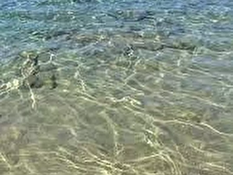 Immagine 14 di Albergo/B&B/Residence in vendita  a Centola