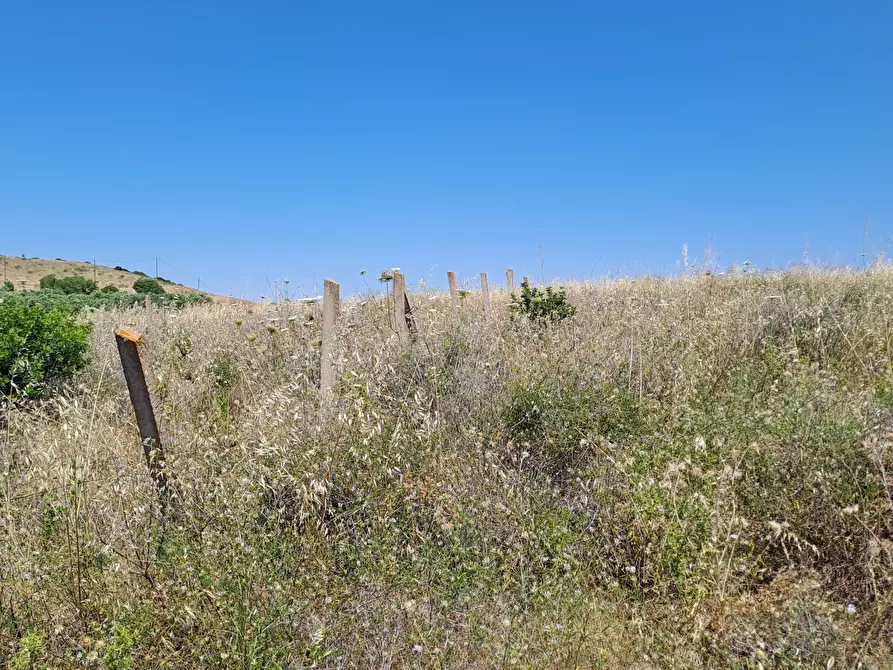 Immagine 17 di Terreno agricolo in vendita  a Settimo San Pietro