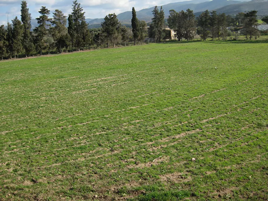 Immagine 11 di Casa indipendente in vendita  a Quartucciu