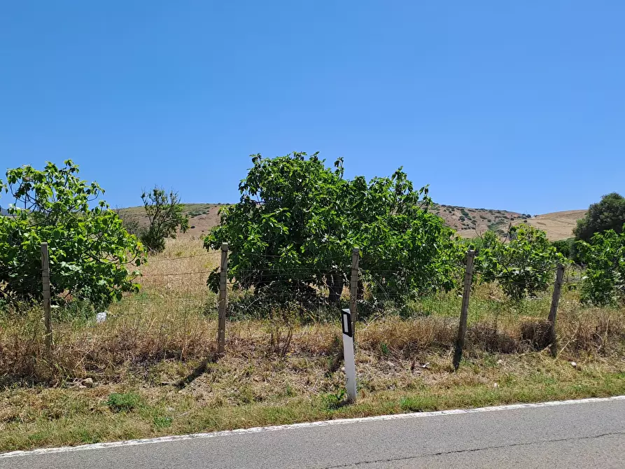 Immagine 5 di Terreno agricolo in vendita  a Settimo San Pietro