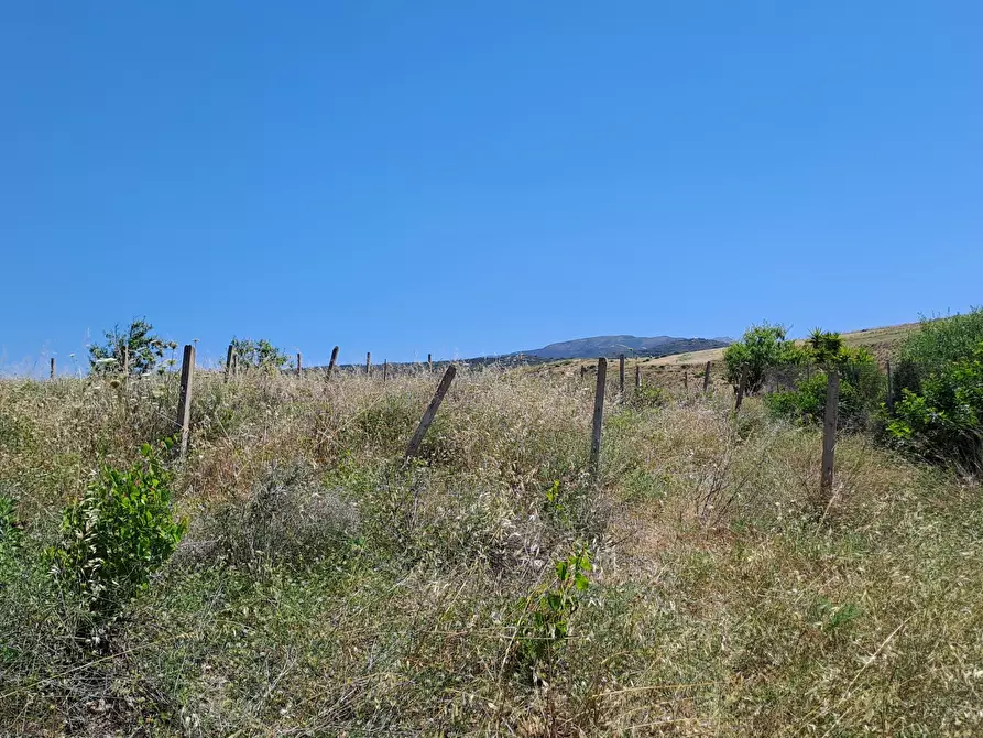 Immagine 15 di Terreno agricolo in vendita  a Settimo San Pietro