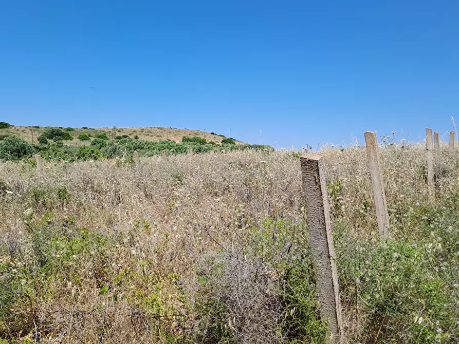 Immagine 14 di Terreno agricolo in vendita  a Settimo San Pietro