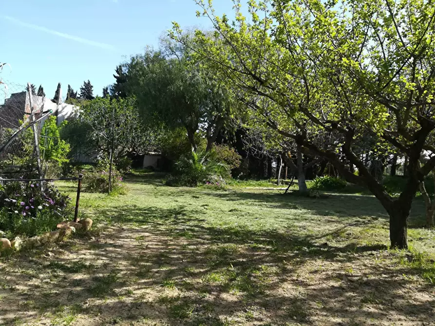 Immagine 1 di Terreno agricolo in vendita  a Quartucciu