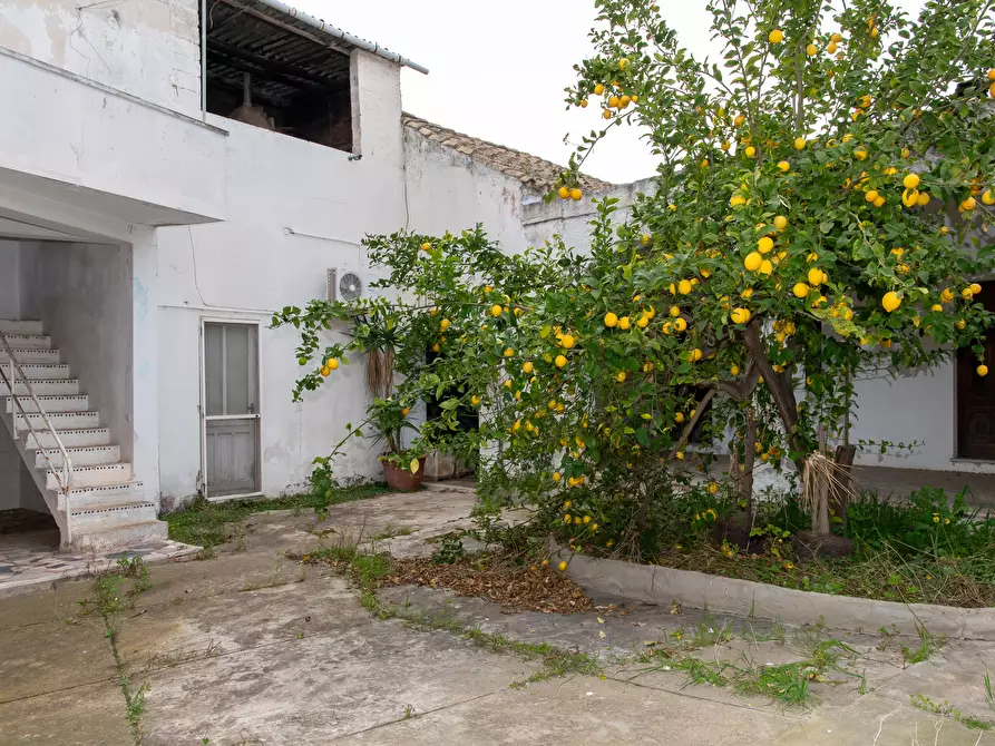 Immagine 7 di Casa indipendente in vendita  a Monserrato