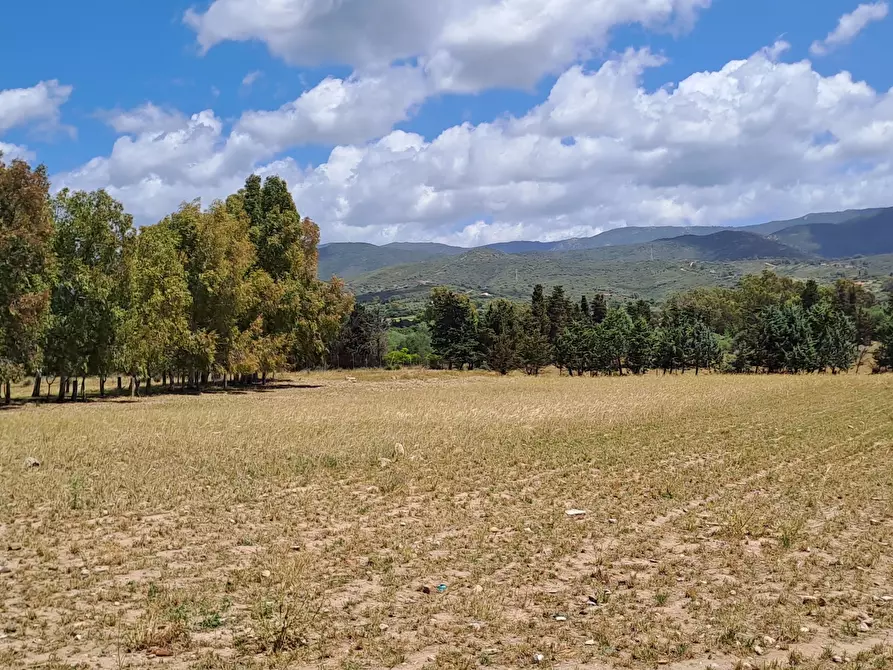 Immagine 10 di Casa indipendente in vendita  a Quartucciu
