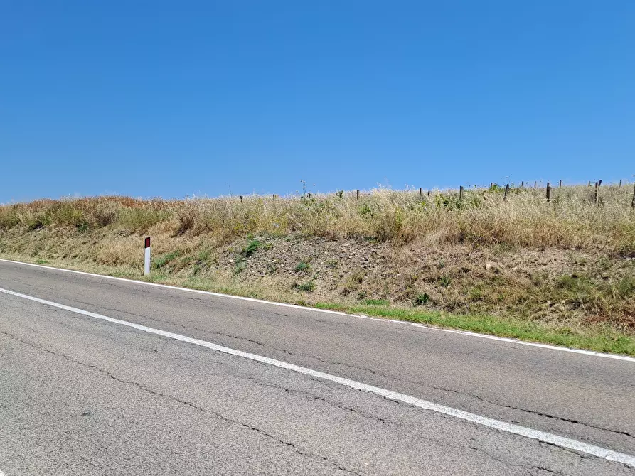 Immagine 13 di Terreno agricolo in vendita  a Settimo San Pietro