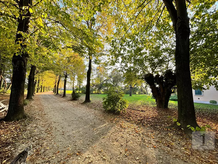 Immagine 21 di Rustico / casale in vendita  in Via Bagnolo 12 a Longare