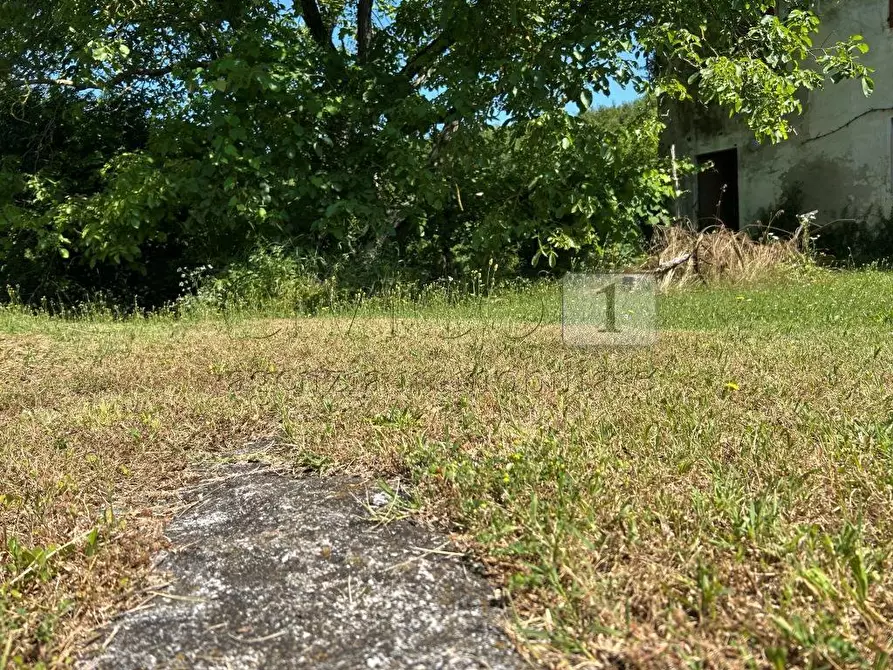 Immagine 20 di Rustico / casale in vendita  in Via Tavella 10 a Barbarano Mossano