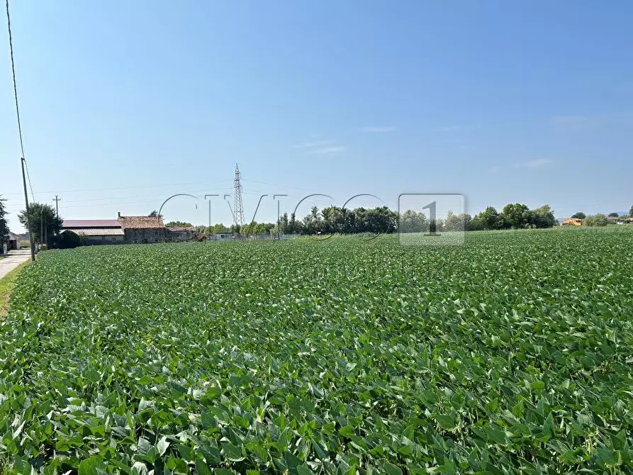 Immagine 8 di Terreno agricolo in vendita  in Via Volpara a Castegnero