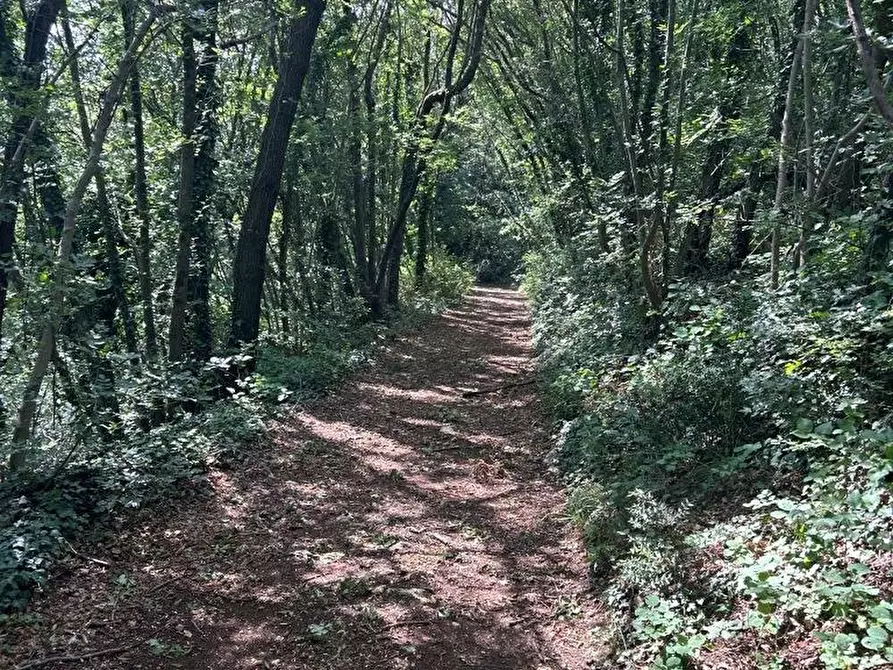 Immagine 28 di Rustico / casale in vendita  in Via Fagnini 8 a Villaga