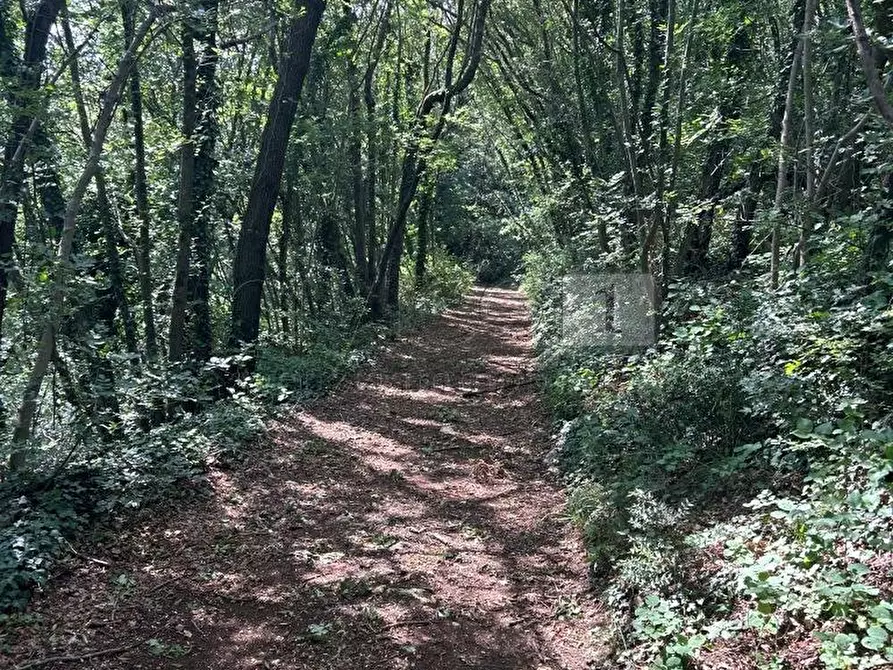 Immagine 29 di Rustico / casale in vendita  in Via Fagnini 8 a Villaga