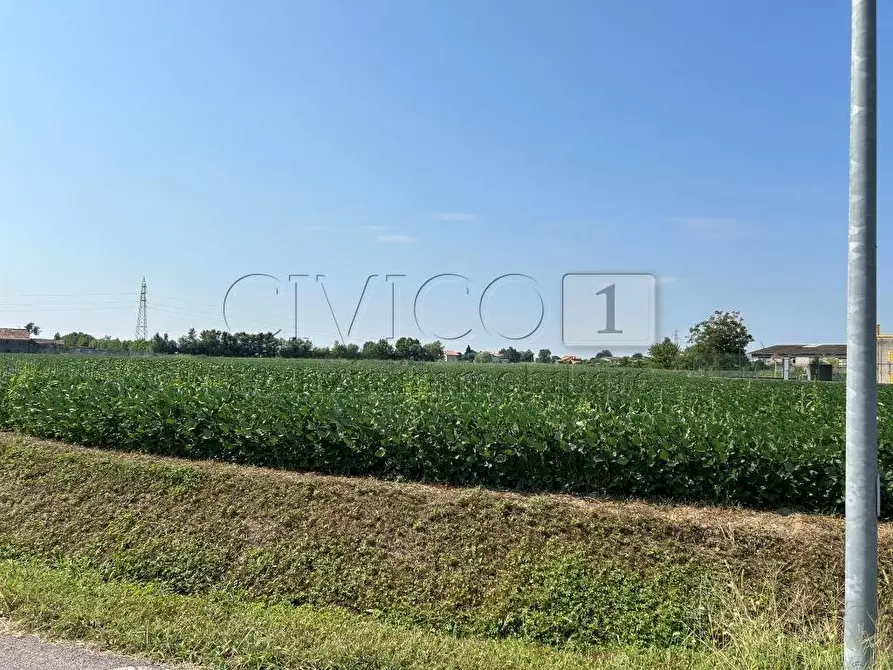 Immagine 18 di Terreno agricolo in vendita  in Via Volpara a Castegnero