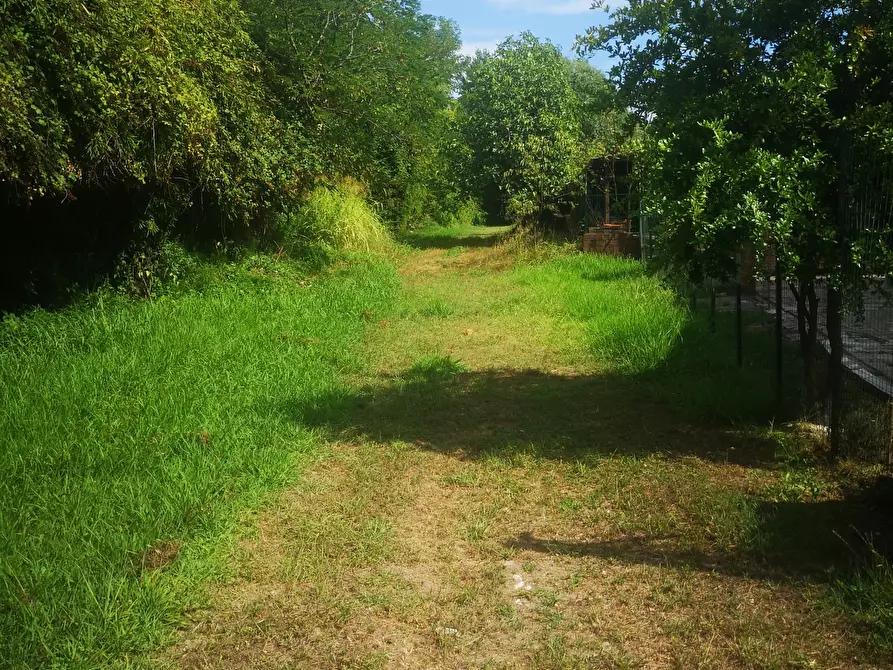 Immagine 15 di Rustico / casale in vendita  in Via Tavolara 59 a Castelnuovo Magra