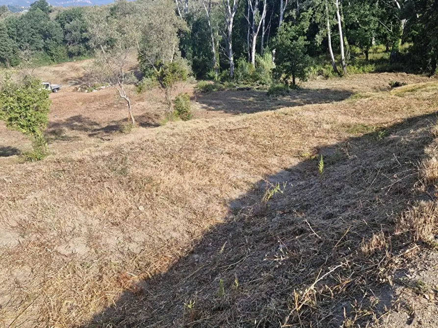 Immagine 7 di Appartamento in vendita  in Via Montefrancio 46 a Castelnuovo Magra