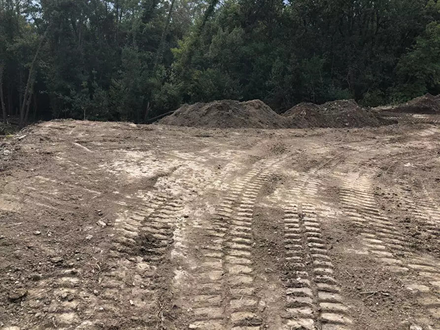 Immagine 10 di Appartamento in vendita  in Via Montefrancio 46 a Castelnuovo Magra
