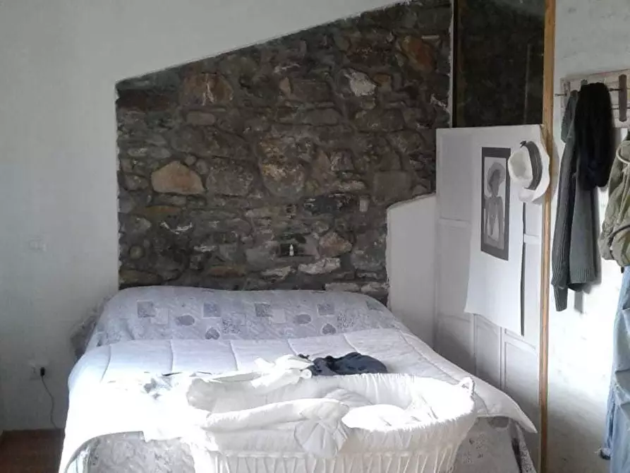 Immagine 5 di Rustico / casale in vendita  in Via Molino del Piano 1 a Castelnuovo Magra