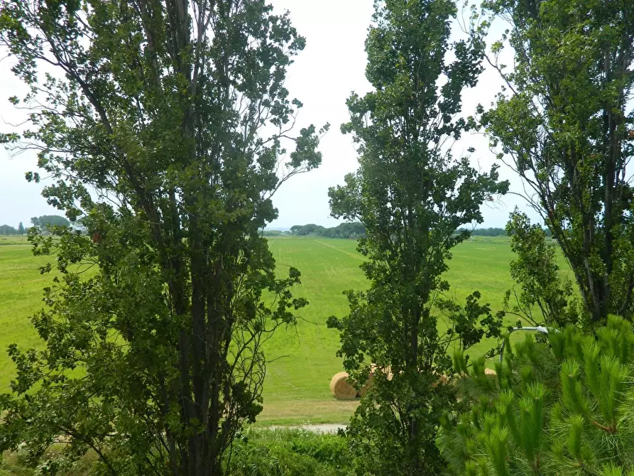 Immagine 28 di Appartamento in vendita  in Via Piero Gobetti a Ortonovo