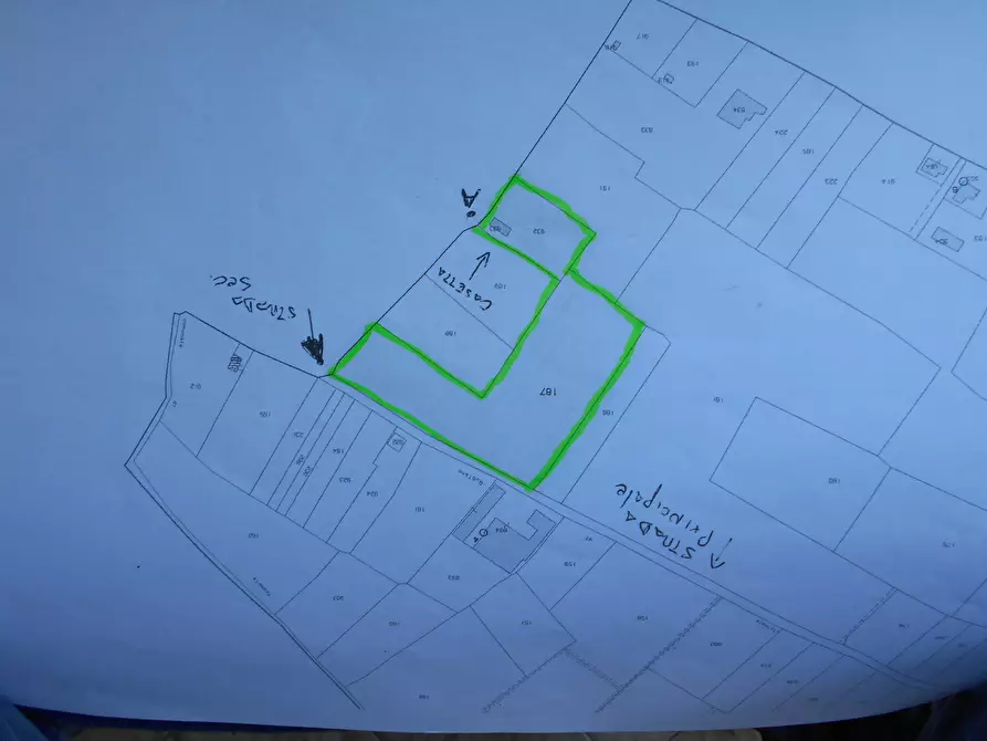 Immagine 4 di Terreno agricolo in vendita  in Via Alta a Sarzana