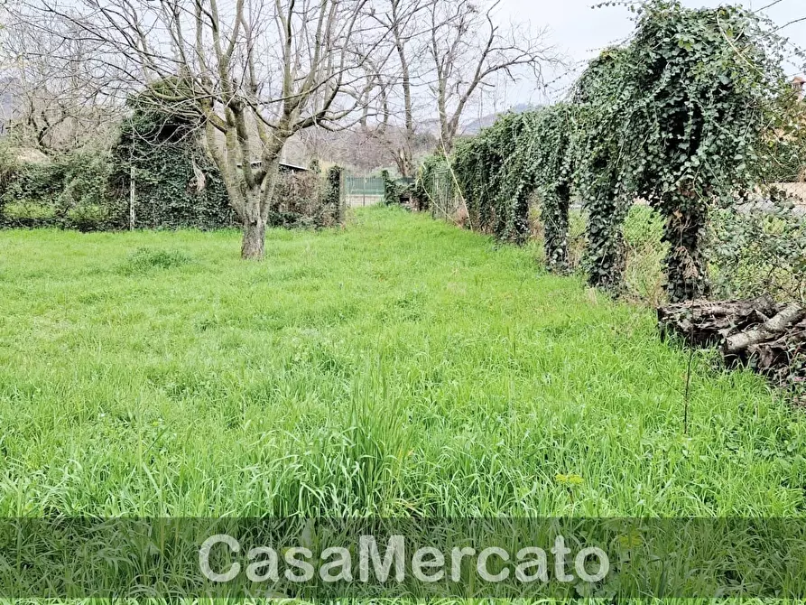 Immagine 7 di Terreno agricolo in vendita  in Via dei Castagni a Rocca Di Papa