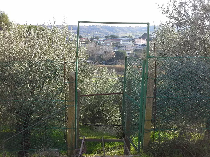 Immagine 1 di Casa indipendente in vendita  a San Benedetto Del Tronto