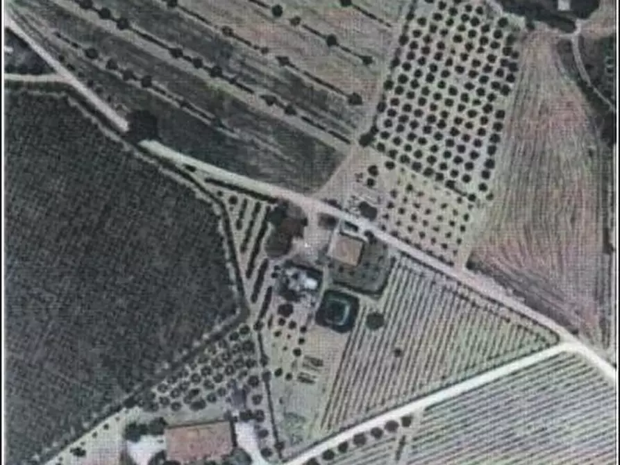 Immagine 4 di Rustico / casale in vendita  a Offida