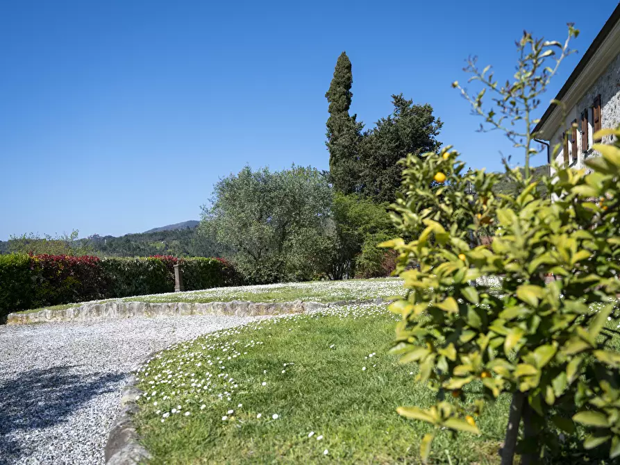 Immagine 69 di Casa indipendente in vendita  a Sarzana