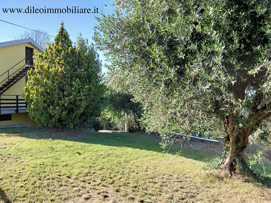 Immagine 4 di Casa indipendente in vendita  a Castorano