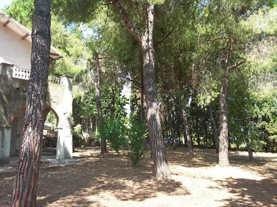 Immagine 11 di Casa indipendente in vendita  a Tortoreto