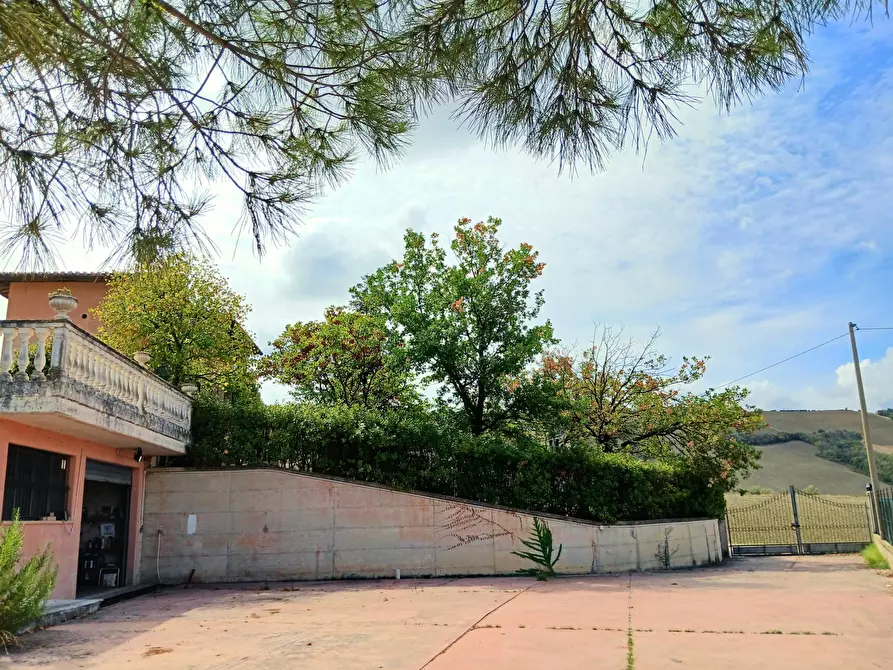 Immagine 57 di Casa indipendente in vendita  a Ancarano