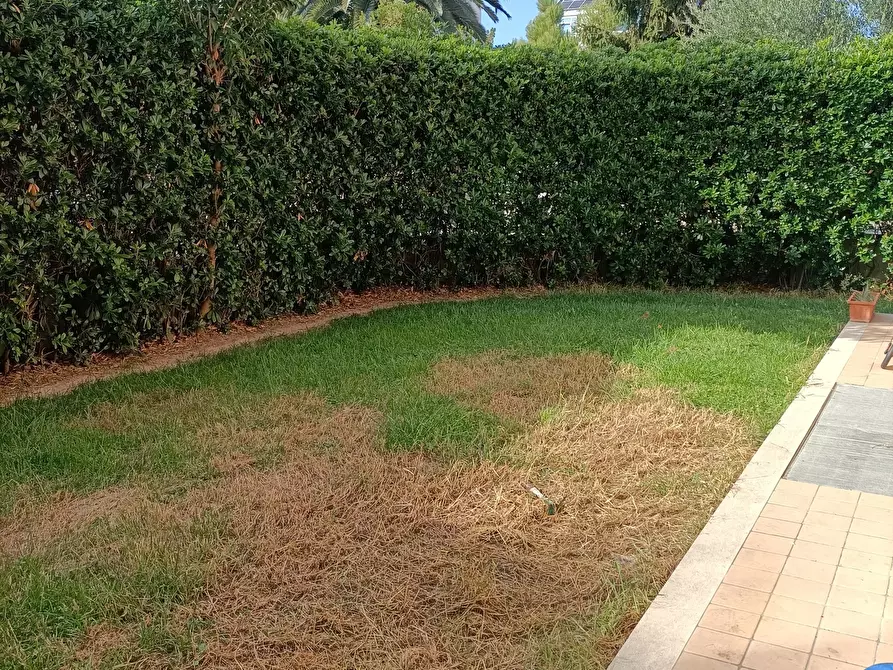 Immagine 48 di Appartamento in vendita  a San Benedetto Del Tronto