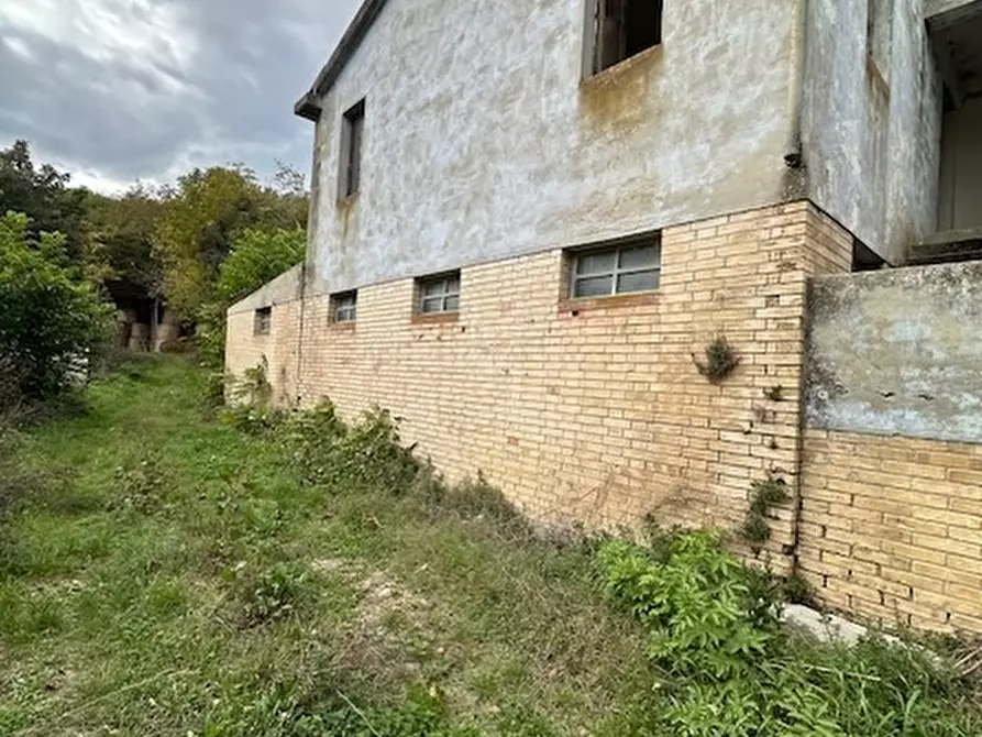 Immagine 3 di Rustico / casale in vendita  a Ripatransone