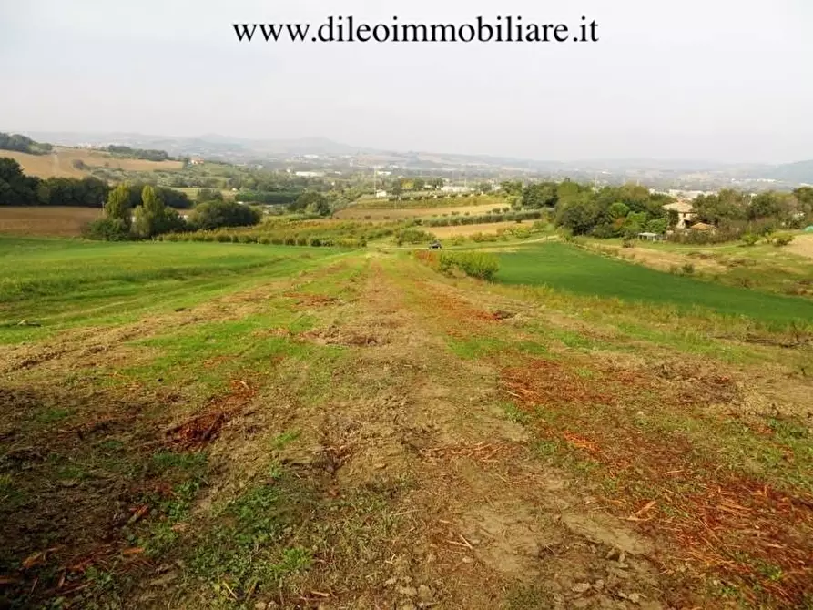 Immagine 11 di Azienda agricola in vendita  a Pesaro