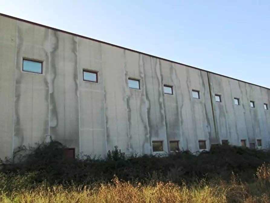 Immagine 20 di Capannone industriale in vendita  a Colonnella