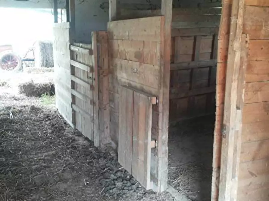 Immagine 5 di Casa indipendente in vendita  a Mondavio