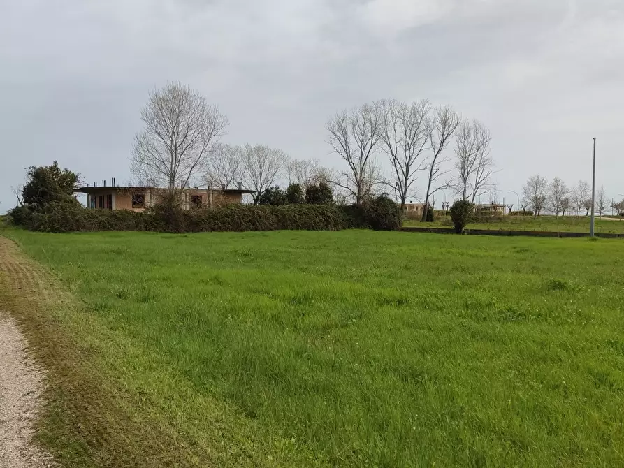 Immagine 2 di Terreno industriale in vendita  a Martinsicuro