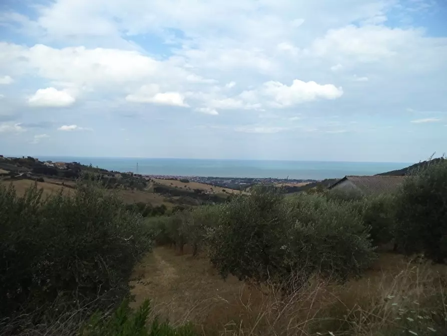 Immagine 9 di Rustico / casale in vendita  in Strada Provinciale 3 868 a Colonnella