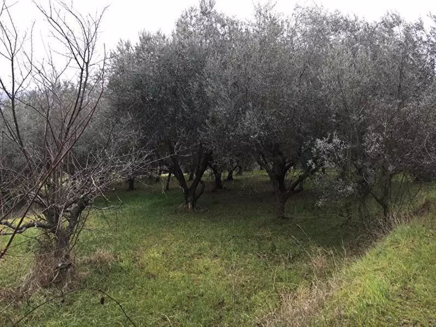 Immagine 8 di Terreno edificabile in vendita  in Vicolo Matteotti Secondo a Monteprandone