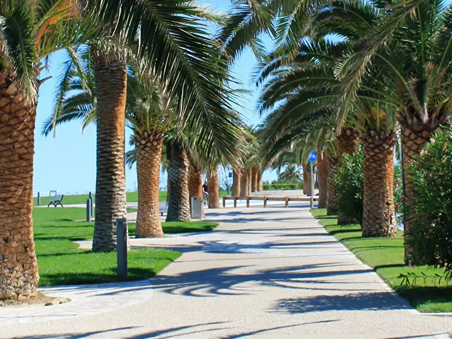 Immagine 5 di Appartamento in vendita  a Grottammare