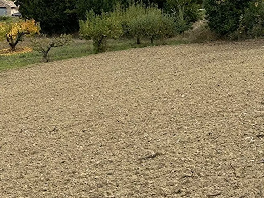 Immagine 36 di Casa bifamiliare in vendita  a Carassai