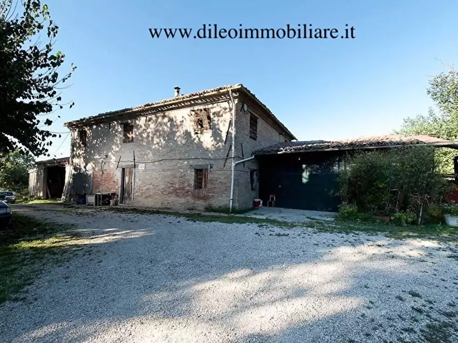 Immagine 15 di Azienda agricola in vendita  a Pesaro