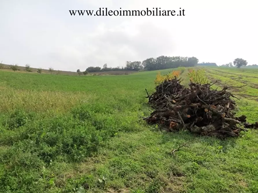 Immagine 7 di Terreno agricolo in vendita  a Pesaro