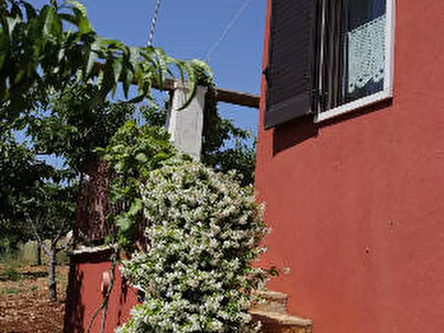 Immagine 20 di Agriturismo in vendita  a Castellana Grotte