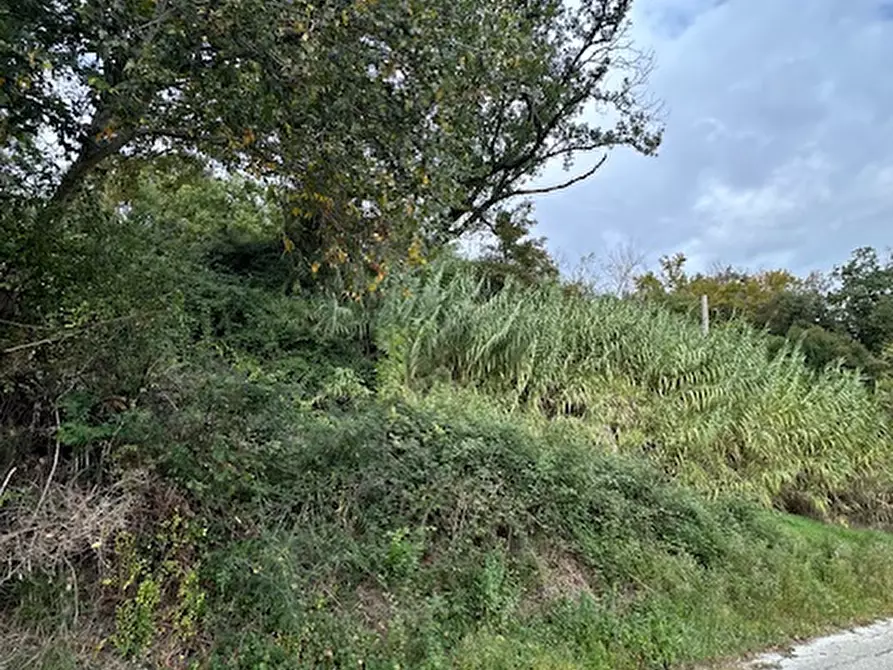 Immagine 16 di Rustico / casale in vendita  a Ripatransone