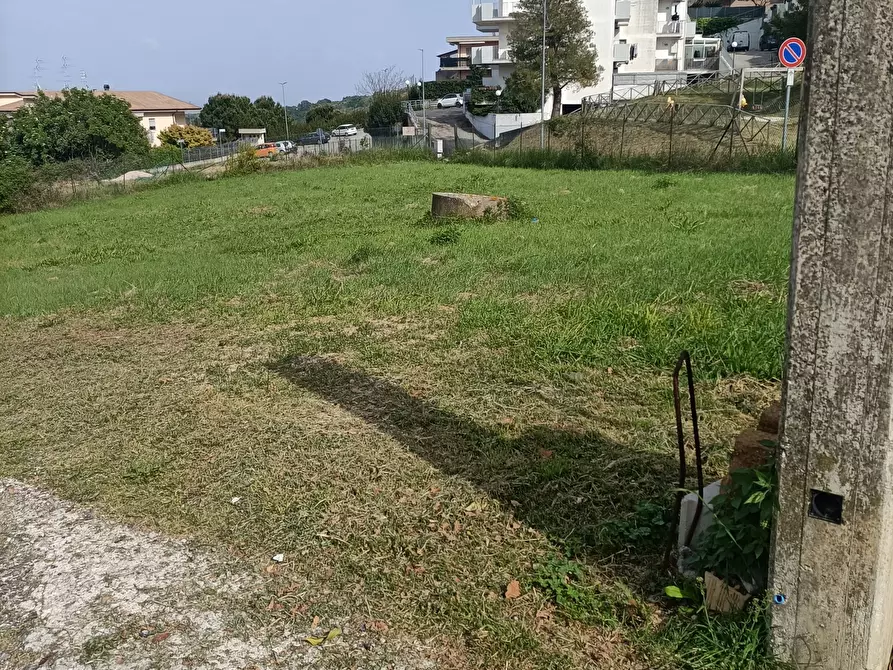 Immagine 3 di Terreno edificabile in vendita  a Acquaviva Picena
