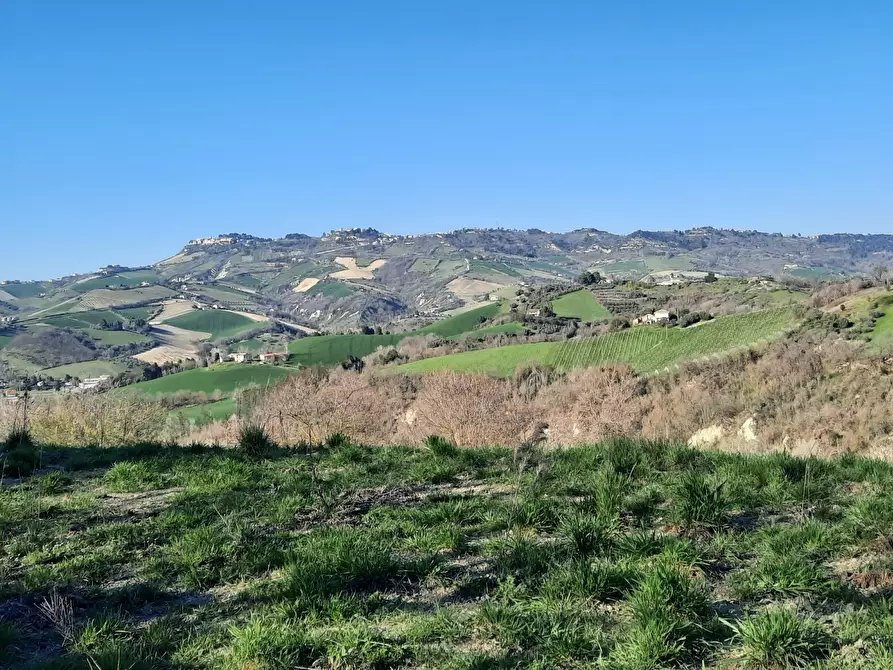 Immagine 2 di Casa indipendente in vendita  in cantina Cocci Grifoni a Ripatransone